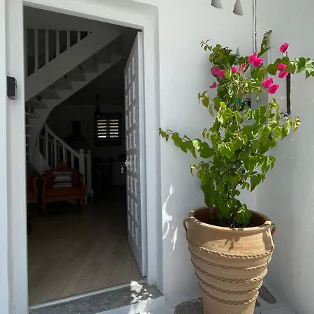 Anthoula Paros * Νάουσα