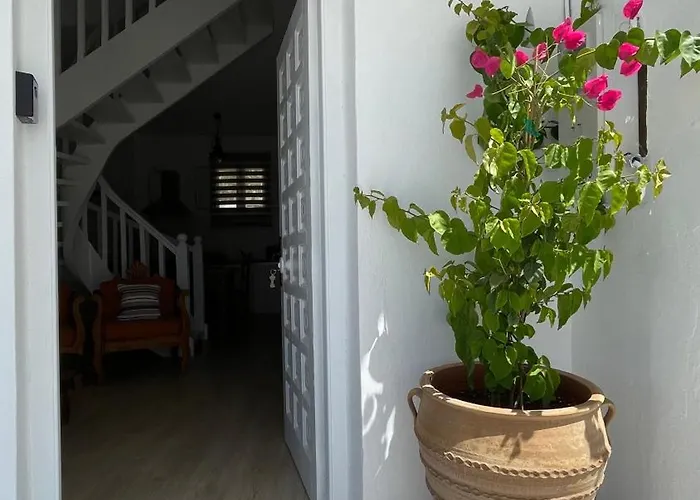 Anthoula Paros * Naousa (Paros)